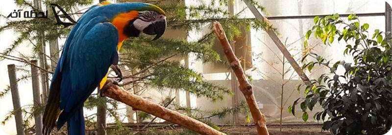 باغ پرندگان کرج