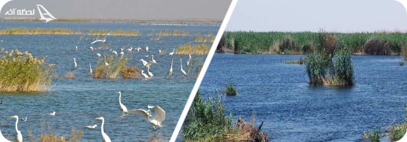 تالاب هورالعظیم