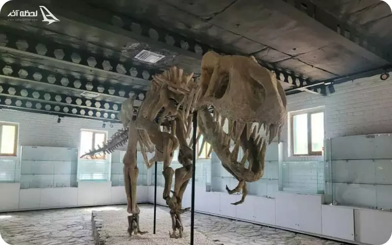 استخوان های دایناسور پارک ژوراسیک مشهد