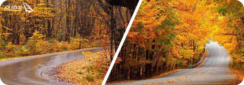 پارک جنگلی ناهارخوران