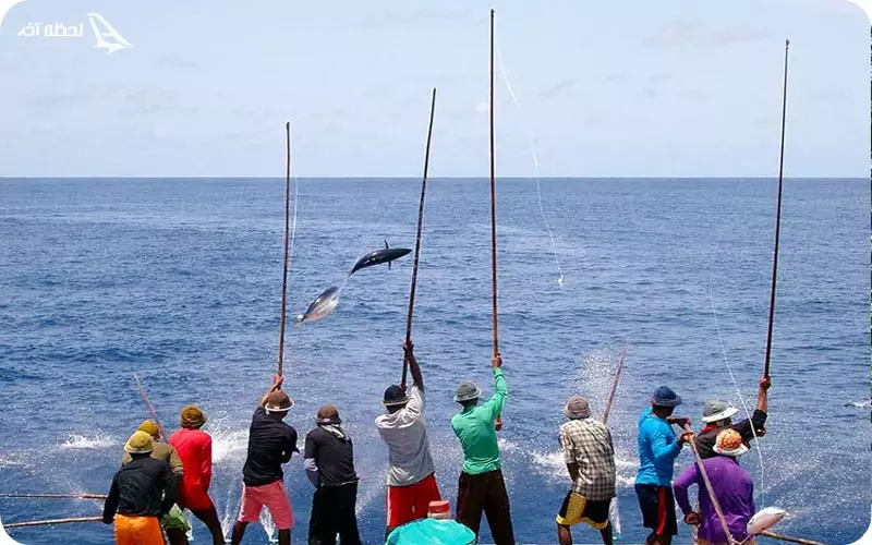 ماهیگیری در مالدیو