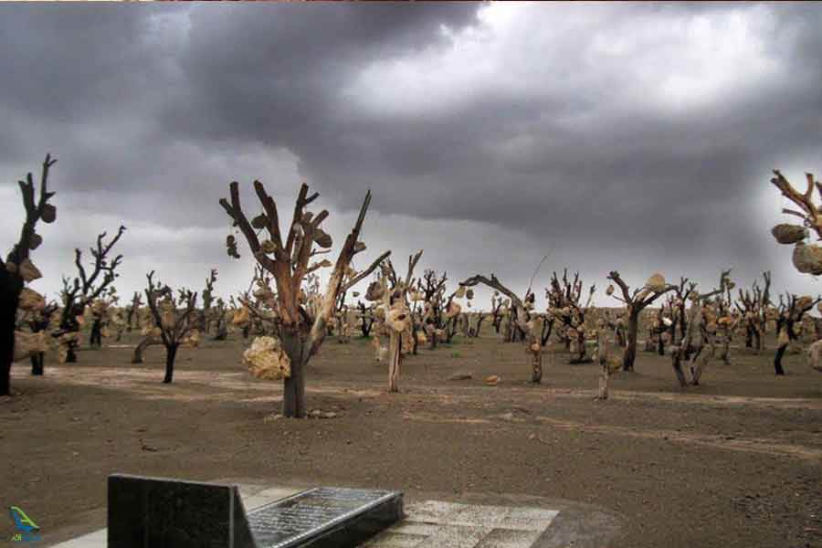 باغ سنگی سیرجان