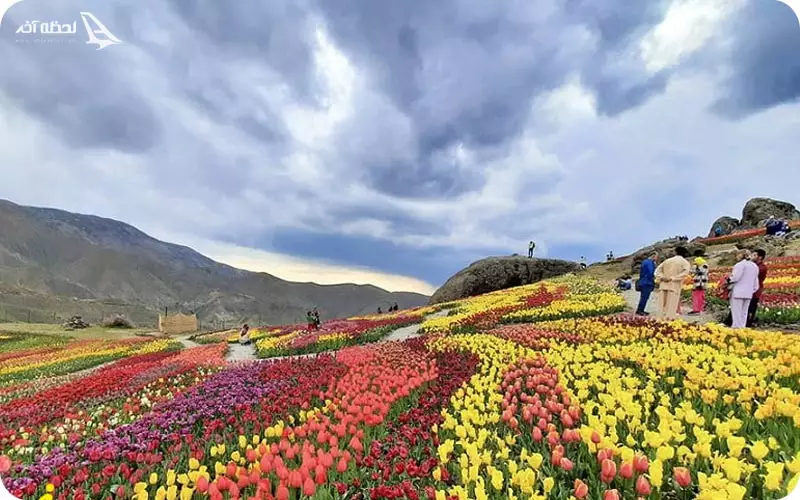 دشت لاله کندر