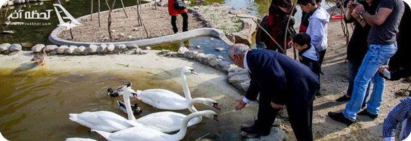 باغ پرندگان