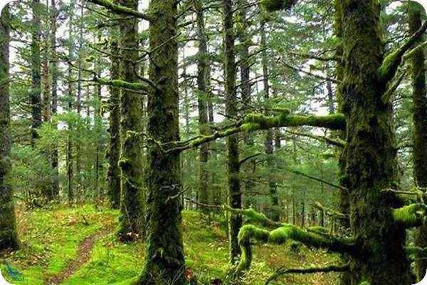 نکات ضروری برای گردشگران الیمستان