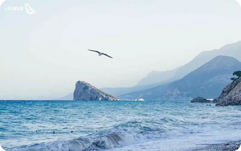 ساحل فازلیس