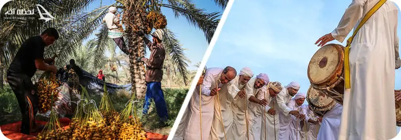 بهترین زمان سفر به قشم برای شرکت در مراسمهای محلی و جشنواره های قشم بهترین زمان سفر به قشم برای شرکت در مراسمهای محلی و جشنواره های قشم