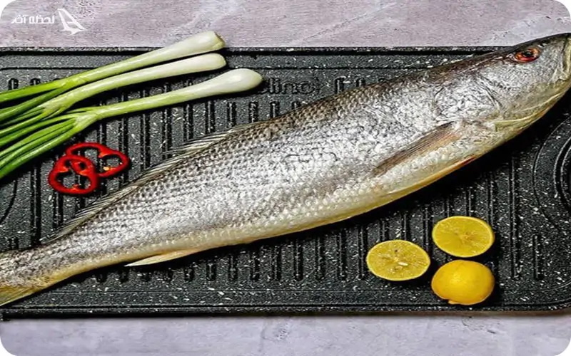 بهشت دریایی در آنتالیا