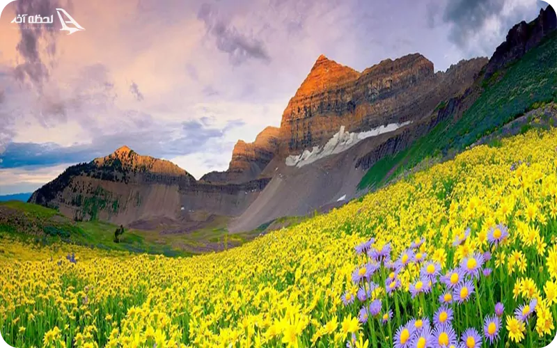 دره گلها در بهار