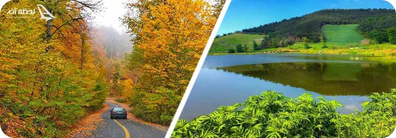 جنگل توسکستان