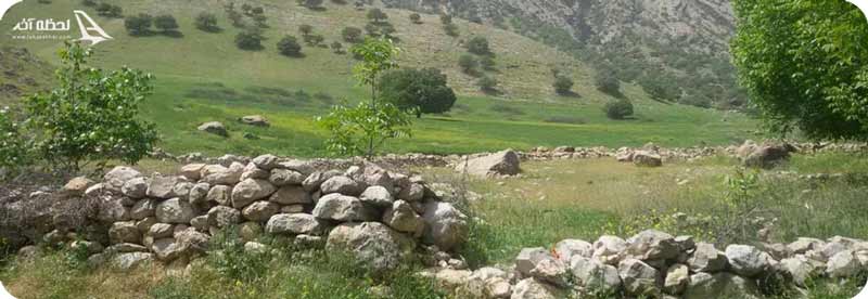 روستای کلم