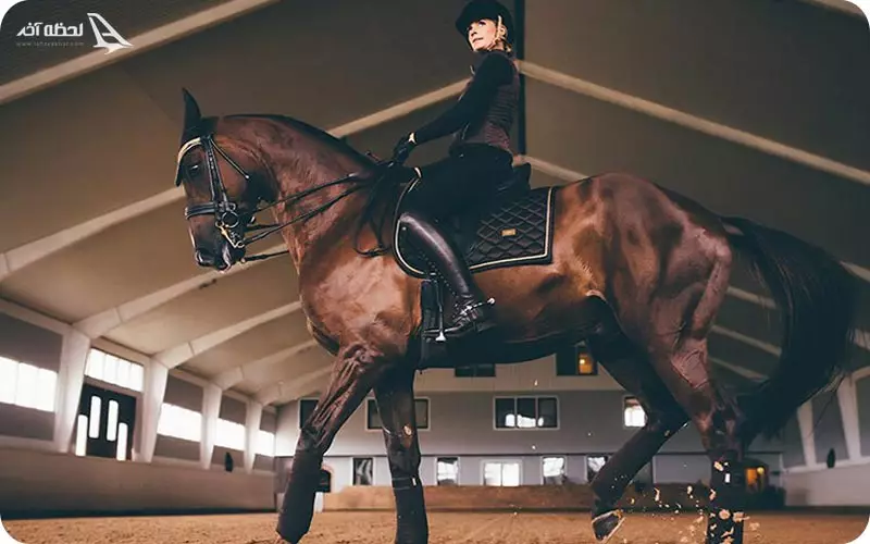 اسب سواری در مشهد