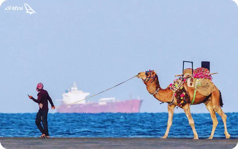 شتر و اسب سواری