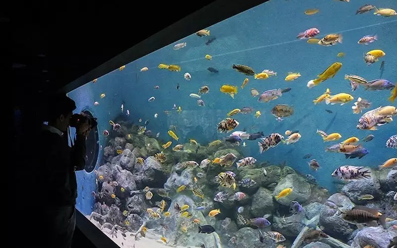 ورودی آکواریوم اصفهان