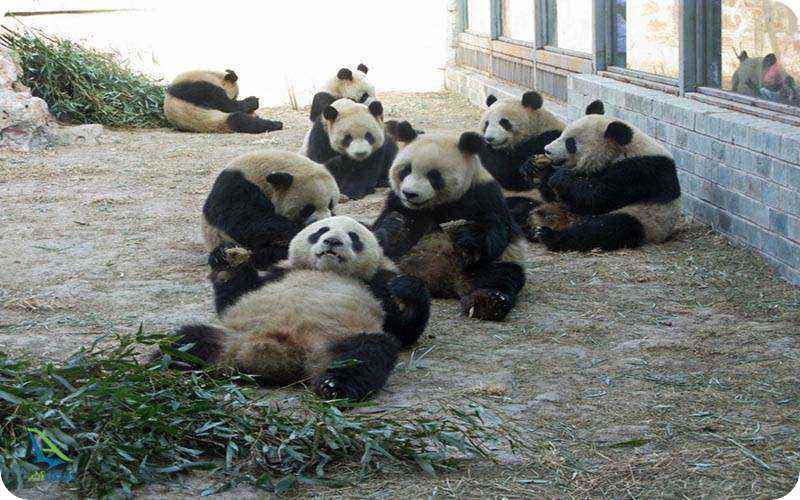 بزرگترین باغ وحش دنیا