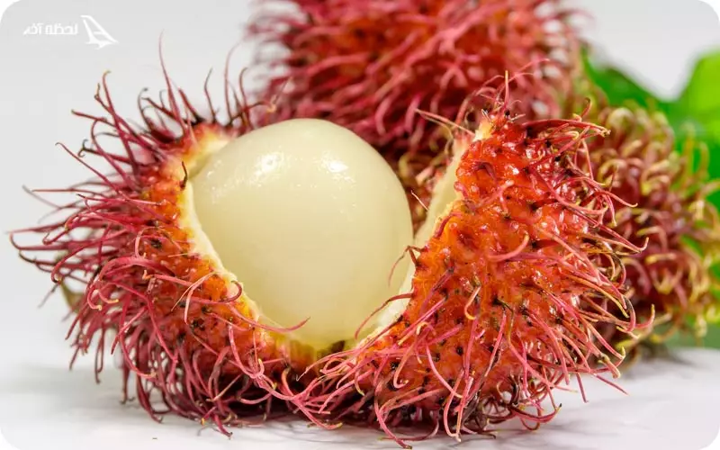 میوه های عجیب و جدید تایلندی