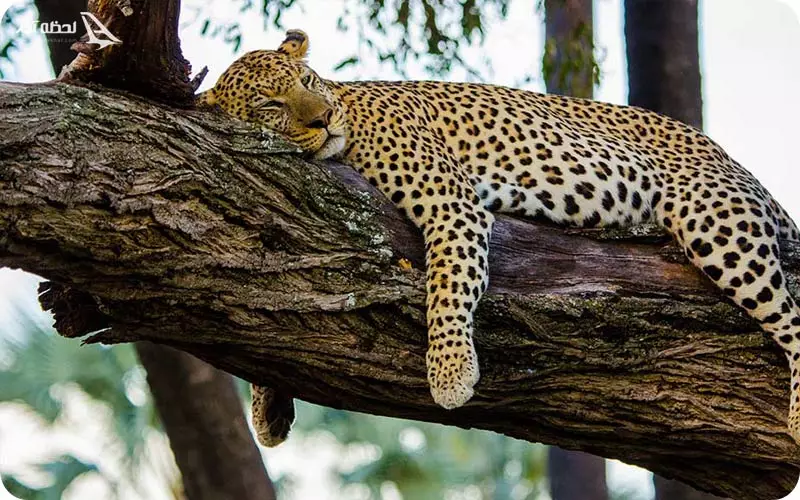 تصاویر پارک تندوره مشهد