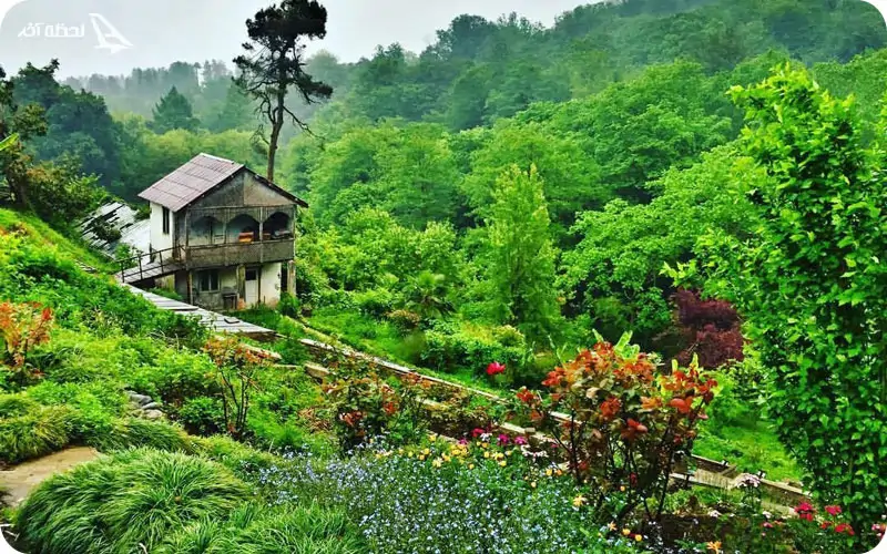 باغ گیاهشناسی باتومی 