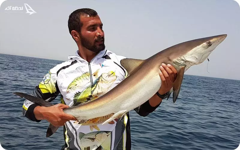 ماهیگیری تفریحی در کنار دریاچه چیتگر کلوپ ماهیگیری