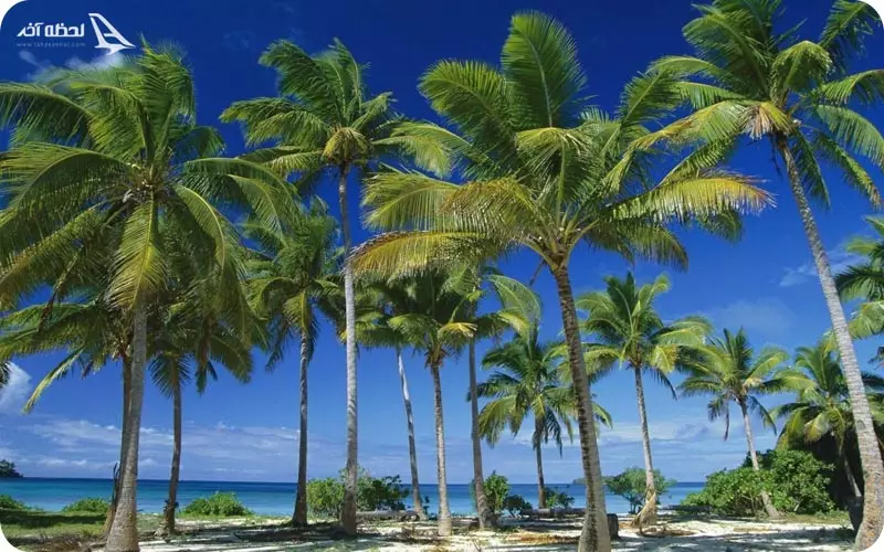 لوکیشن های عکاسی در کیش