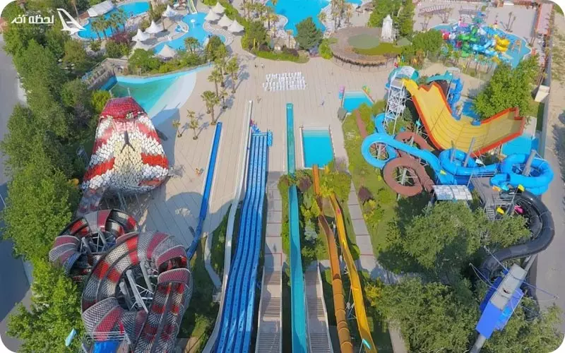 پارک آبی کلاب دلفین