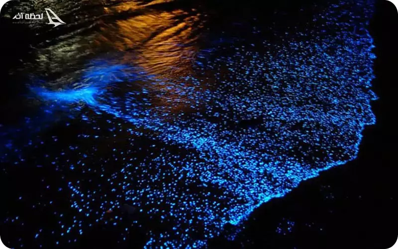 شب های قشم چه جذابیت هایی دارد؟ در این مقاله با لحظه آخر همراه باشید. جاهای دیدنی قشم در شب