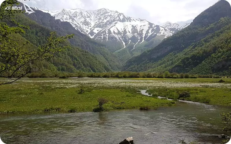 دشت دریا سر