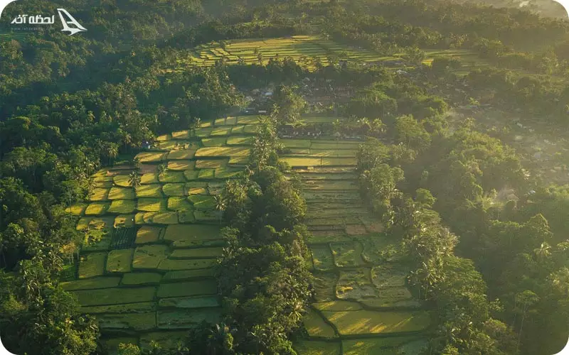 ابودبالی از نمای بالا