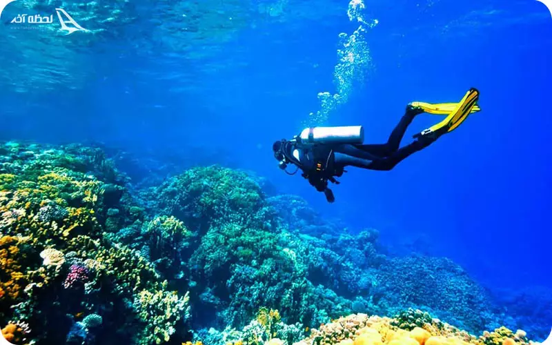 غواصی در قشم