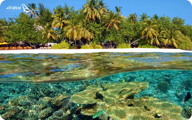 جزیره ماله | پایتخت کشور مالدیو جزیره ماله