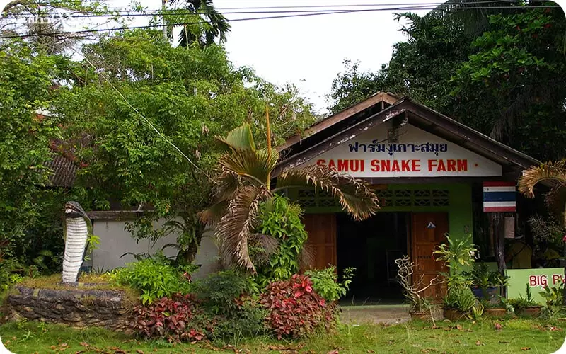 مزرعه مارها