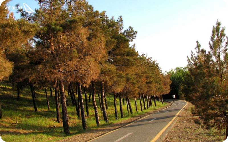 پارک جنگلی لویزان