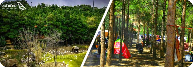 پارک جنگلی یاس