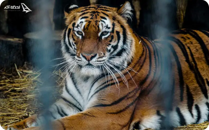 جاذبه های سفر زمینی به وارنا