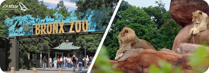 باغ وحش برانکس