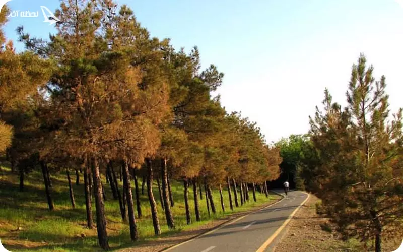 پارک جنگلی چیتگر پارک جنگلی چیتگر