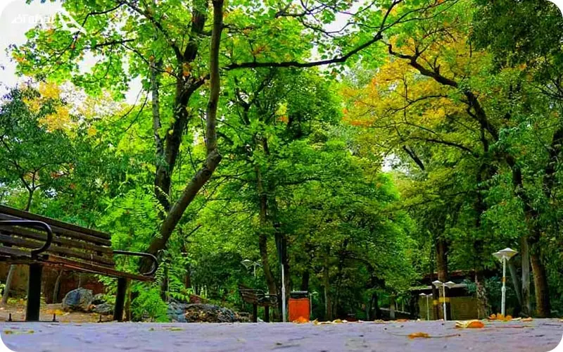 پارک قیطریه تهران پارک قیطریه تهران