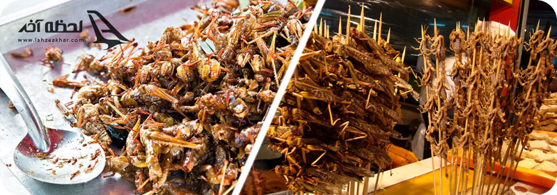 عجیب ترین غذاهای تایلند