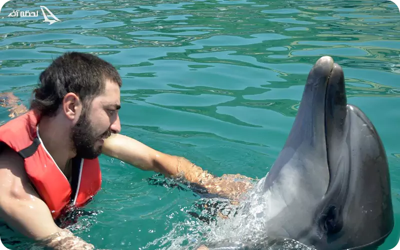 پارک دلفین آنتالیا