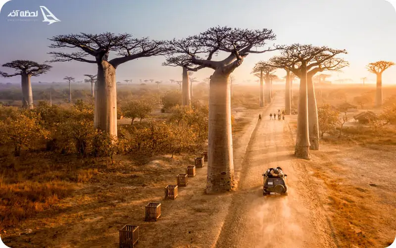 بهترین زمان سفر به ماداگاسکار