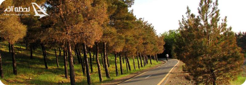 پارک جنگلی لتیان