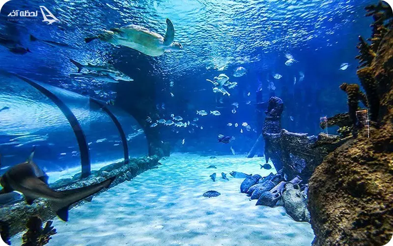 آکواریوم اصفهان