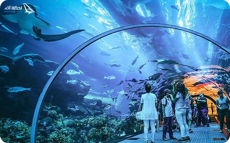 آکواریوم دبی
