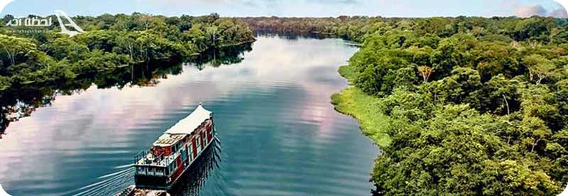 جنگل های آمازون