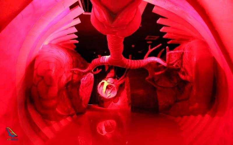 پارک موضوعی پروفسور بازمیا