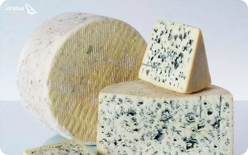 پنیر فرانسه