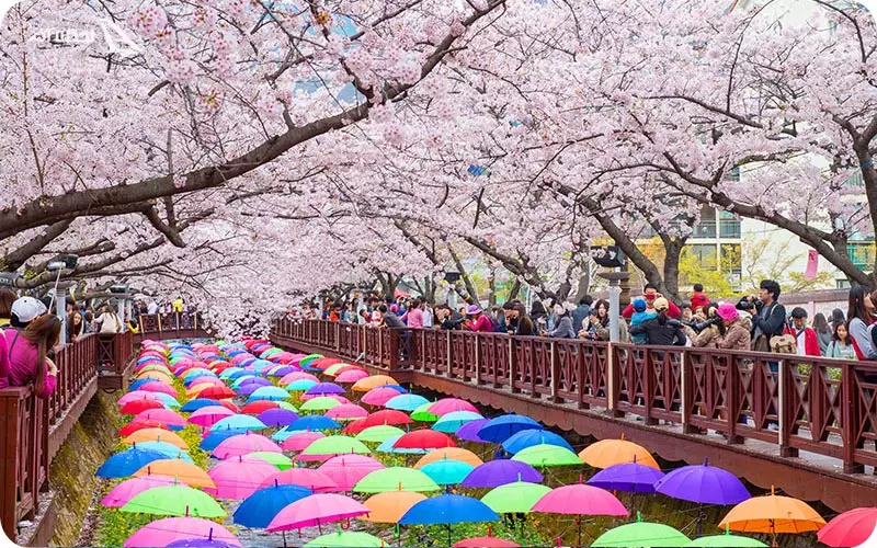 بهترین زمان سفر به کره جنوبی