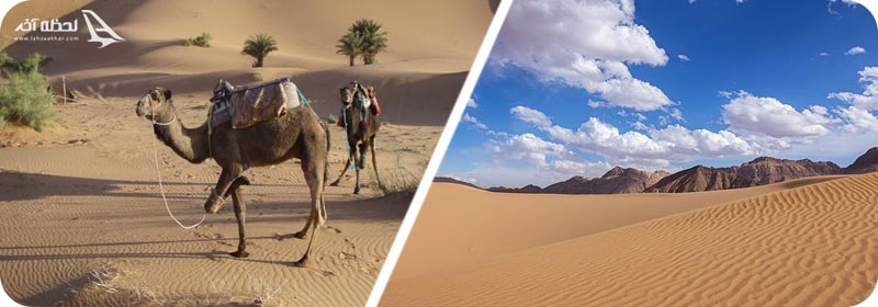 کویر خور و بیابانک