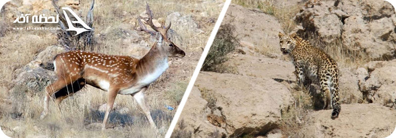 پارک-ملی-بمو شیراز