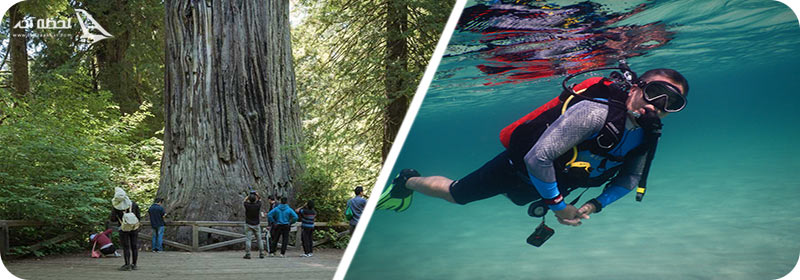 غواصی و پارک ملی ردوود آمریکا